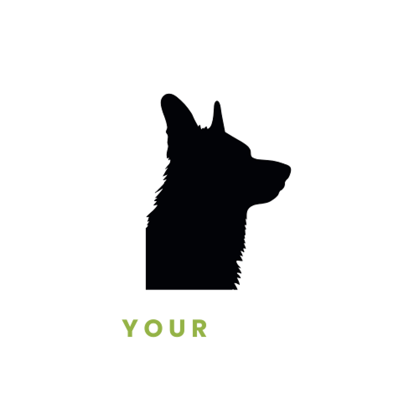 Train Your Dog