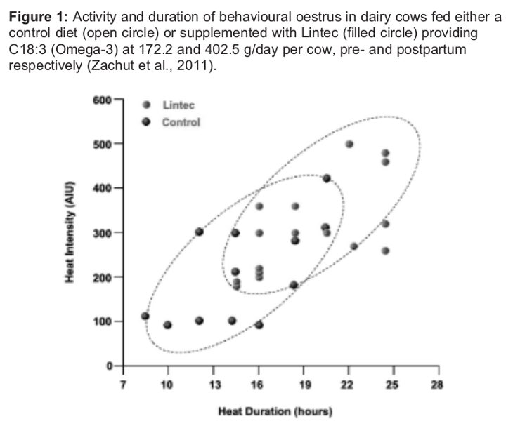 Image 1 from the paper A healthy diet for cows