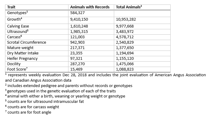 Table 1: Summary of data (1) used in Angus genetic evaluation.