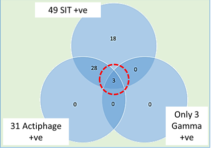 Figure 3: Comparison of Actiphage result with INF-&gamma;.