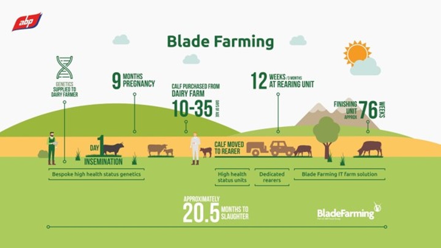 Figure 1 Blade Farming