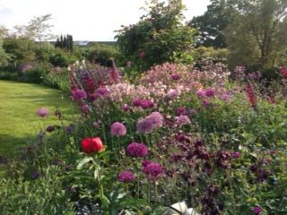 garden 3