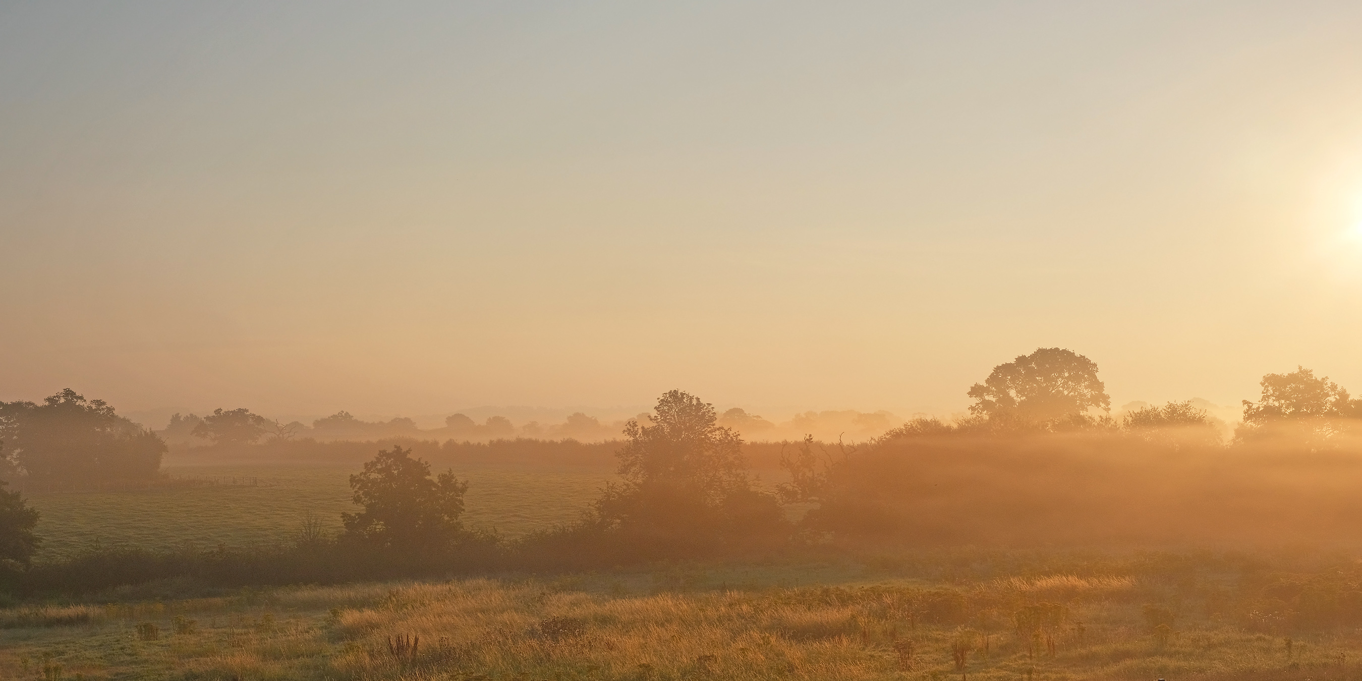 Misty Morn_JT