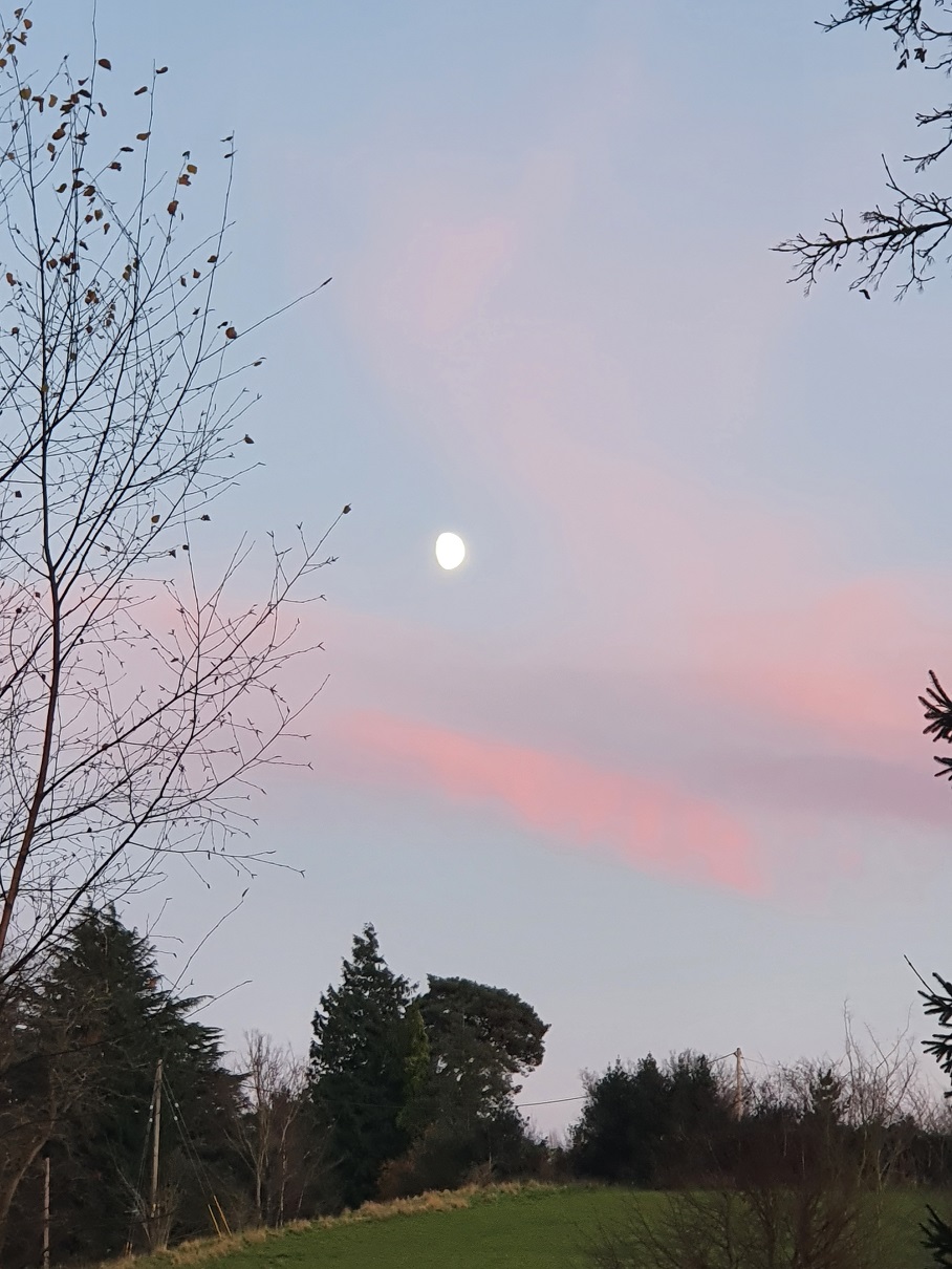 plume 2
