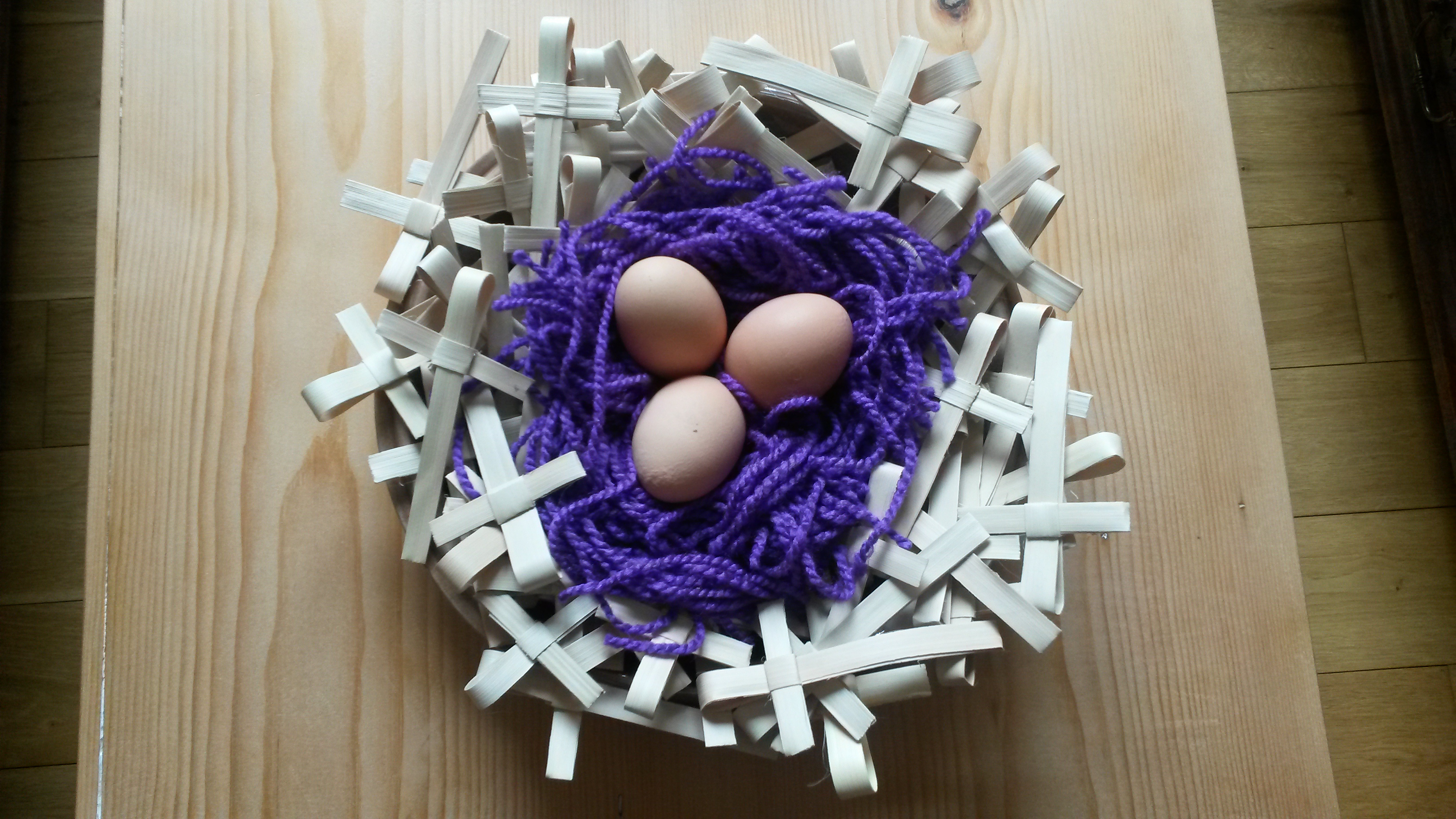 Image: 20200402_110324MReed