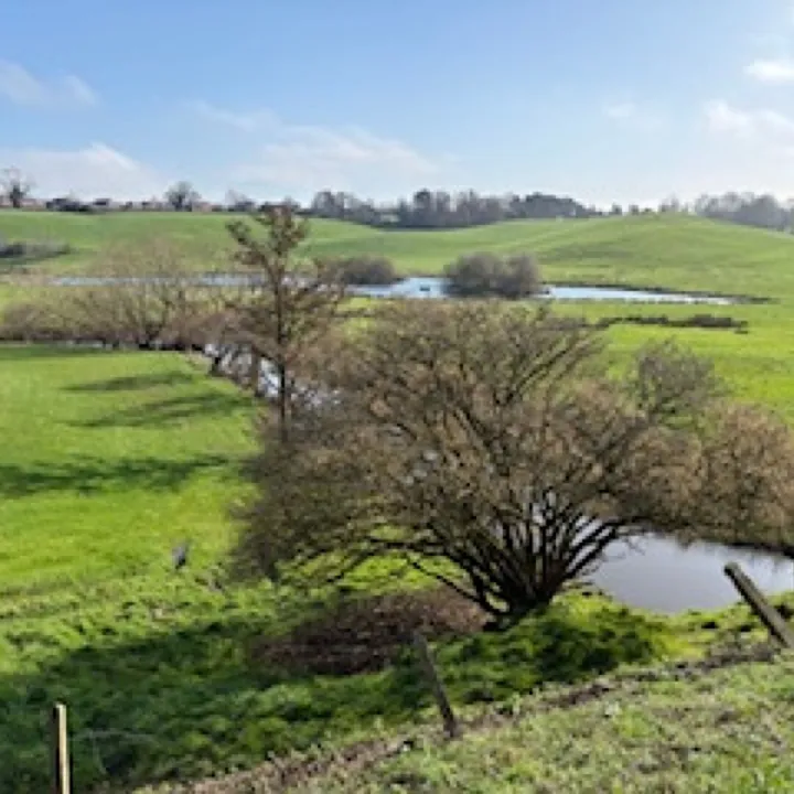 Image2