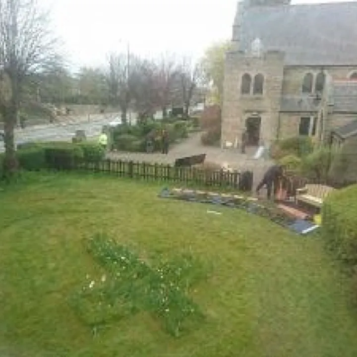 Daffodile Cross in Garden