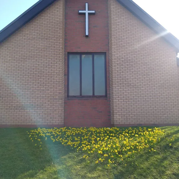 Milton &ndash; Daffodils