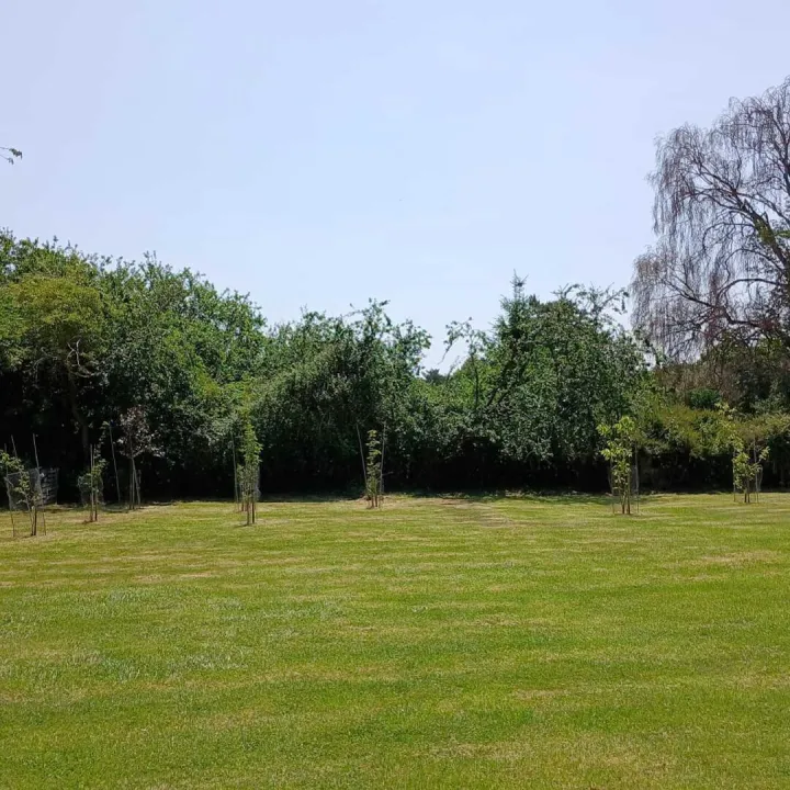 Milton Methodist Church &ndash; External 1