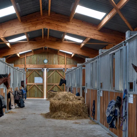 Interior of modern stables with horses