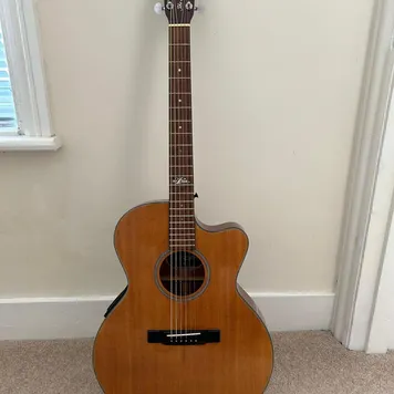 Aria Electro Acoustic Guitar &ndash; Items for sale