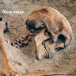 Skeleton_stock Image