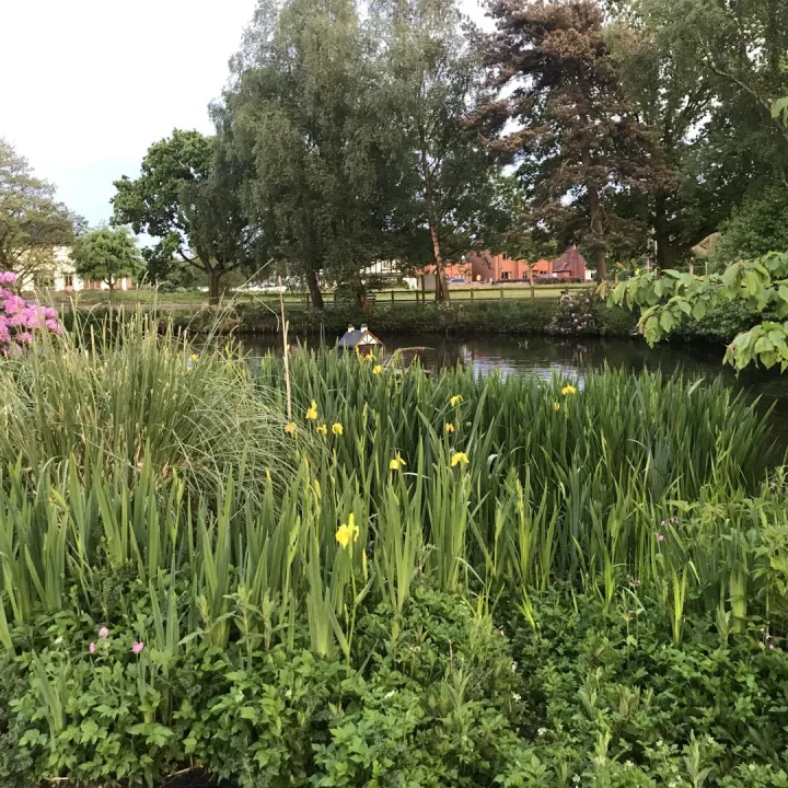 Hankelow Pond