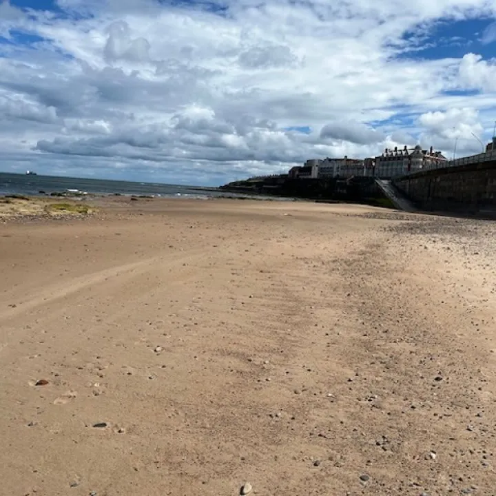 Newcastle 31
