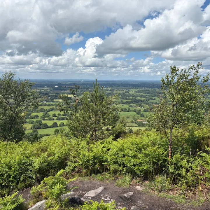 Expansive view of green countryside from