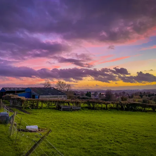Rural Business Sector