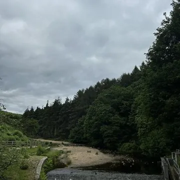 Langsett 4