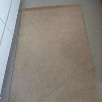 Rug/ Carpet – Items free to a good home!