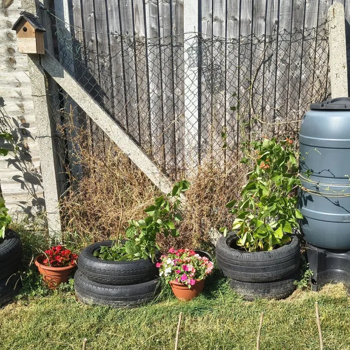 2026 Canvey Eco Garden