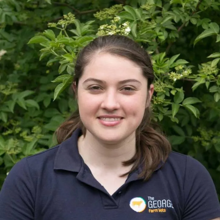 Dr Kat Hart, Committee Member of the British Cattle Breeders Club