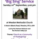 Amc Weedon Big Sing