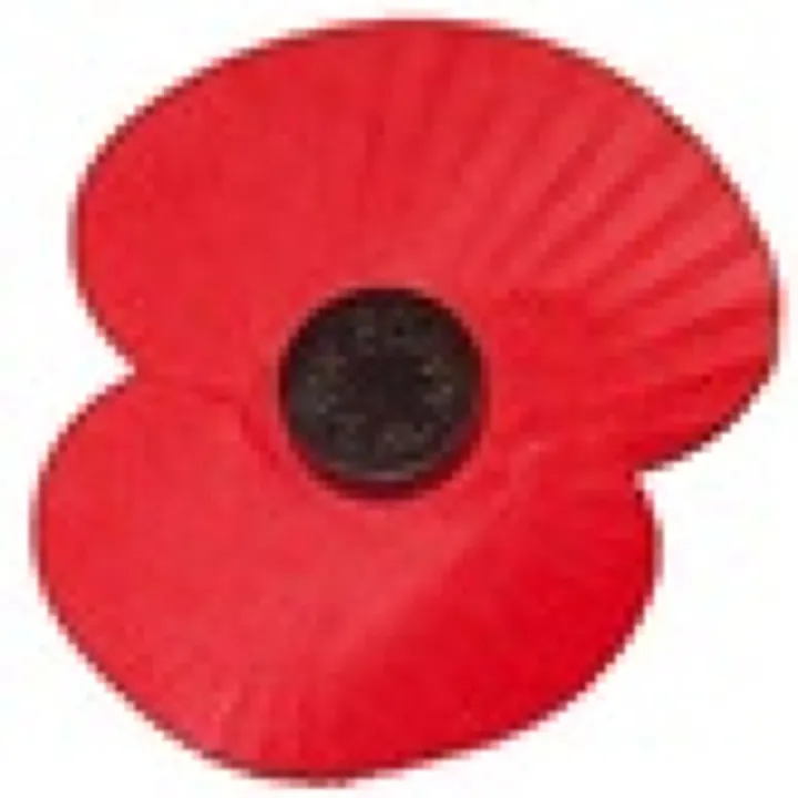 Poppy 25