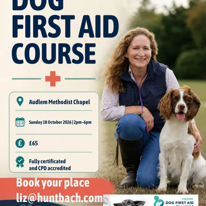 Dog First Aid