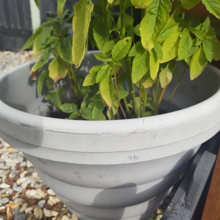 Free Pots and Card board boxes – Items free to a good home!