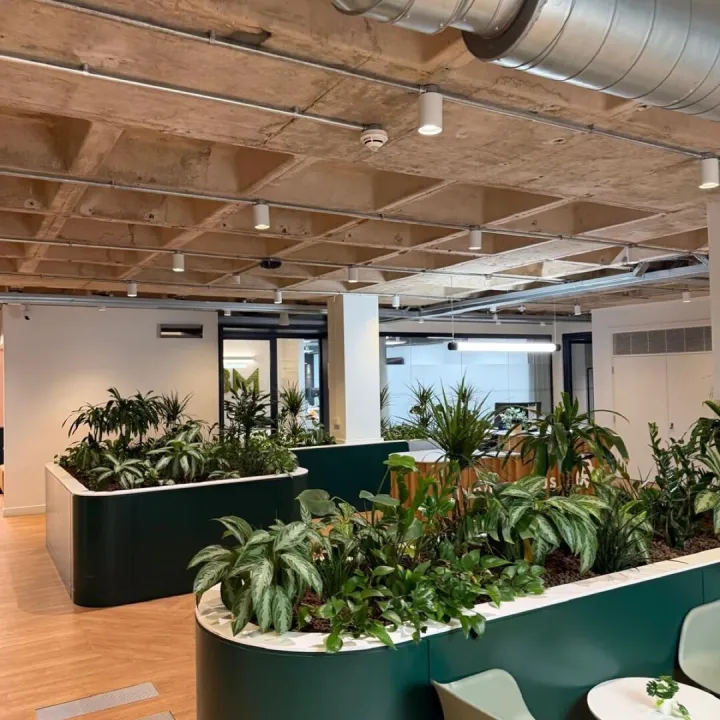 Open-plan office with an exposed concrete ceiling and dark green planters filled with leafy plants