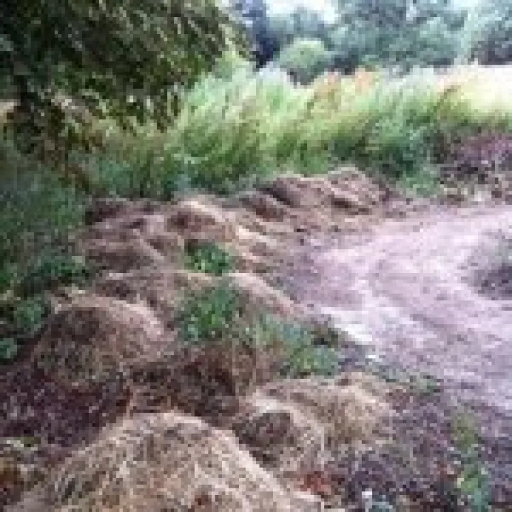 unnamed (4)