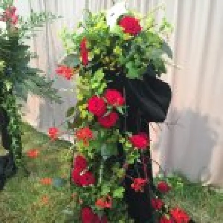 Nantwich Show 2015