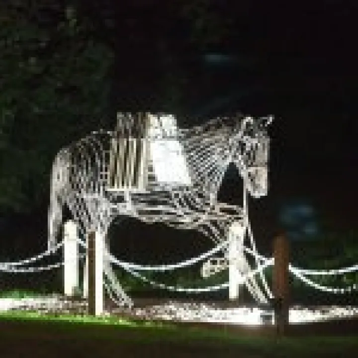 Floodlighting-3