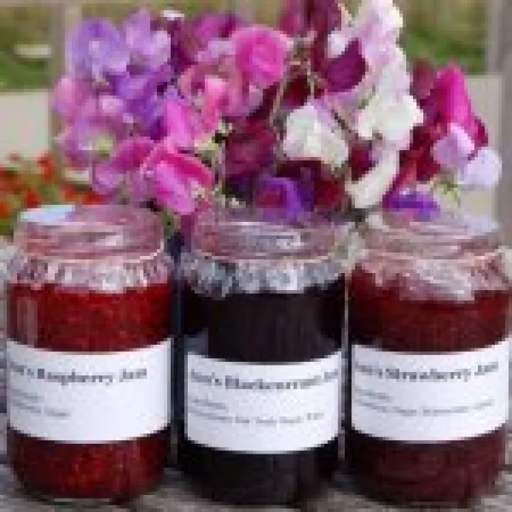 Homemade Jam 05b