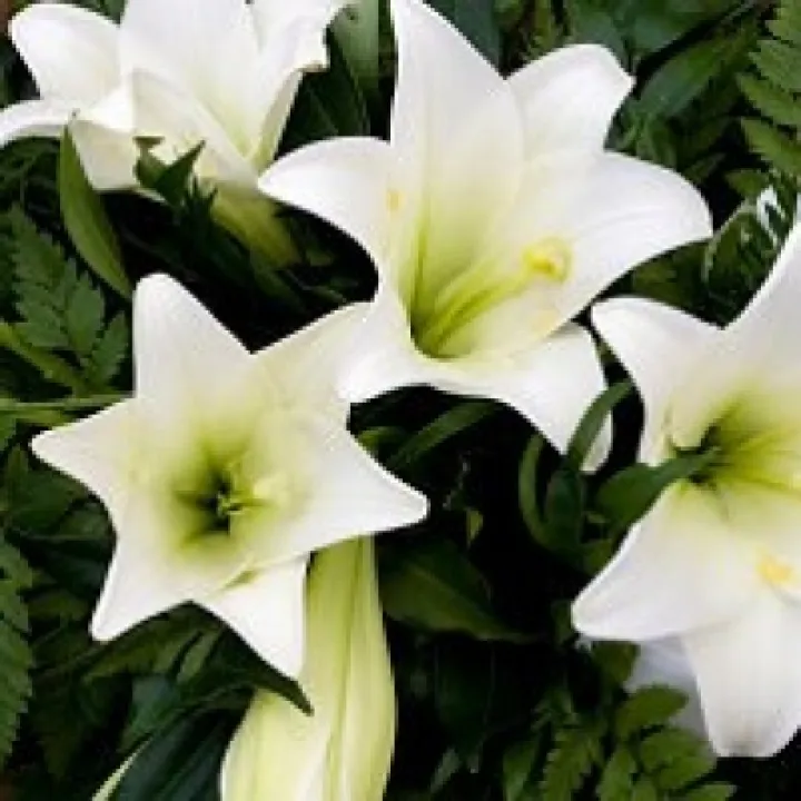 Funeral Flowers