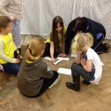 Brownie Group