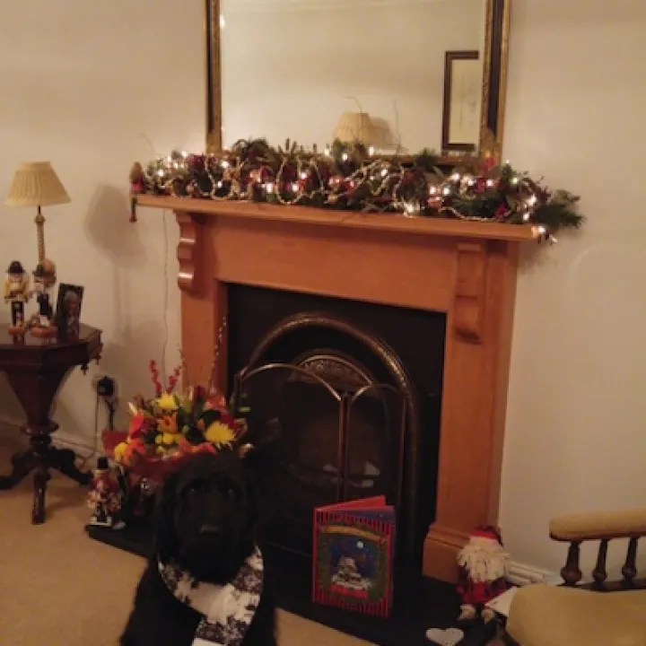 20151221_183340_Burst02