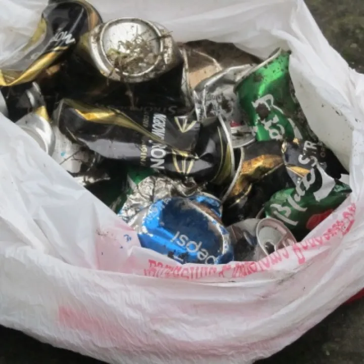 Litter2 (1)