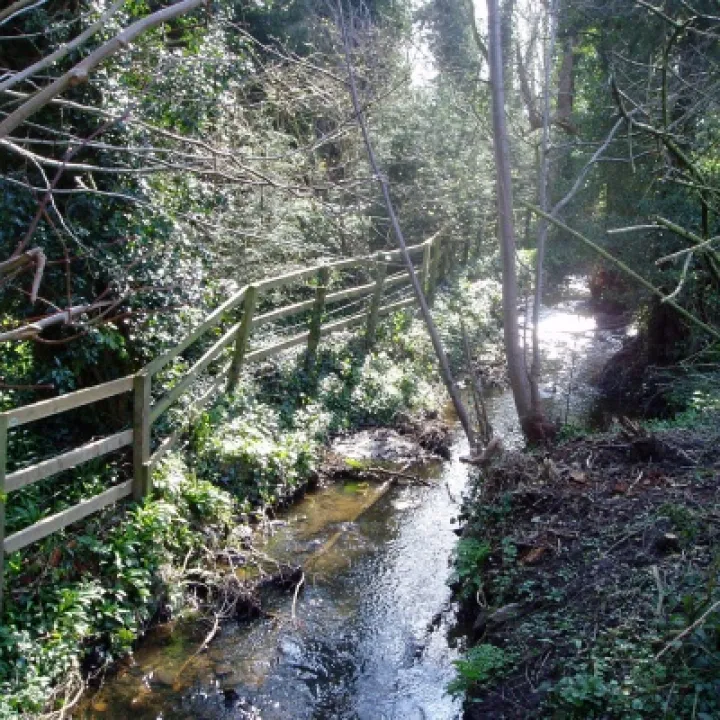 March Millbrook In The Spinney