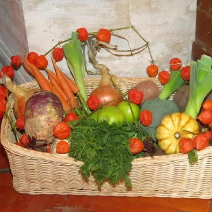Harvest Festival Image 05