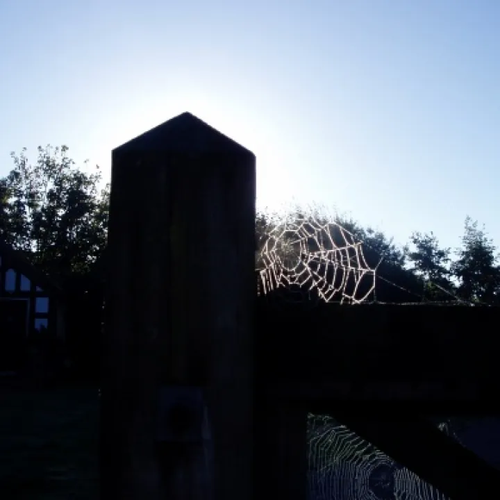 Oct 1