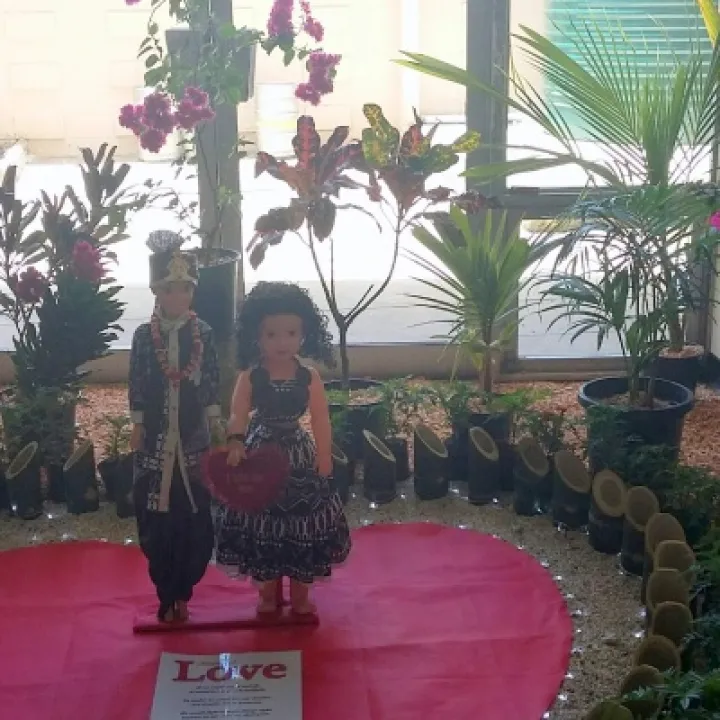 Suva Flowers 3