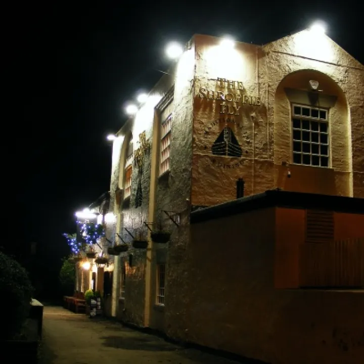 Christmas Lights