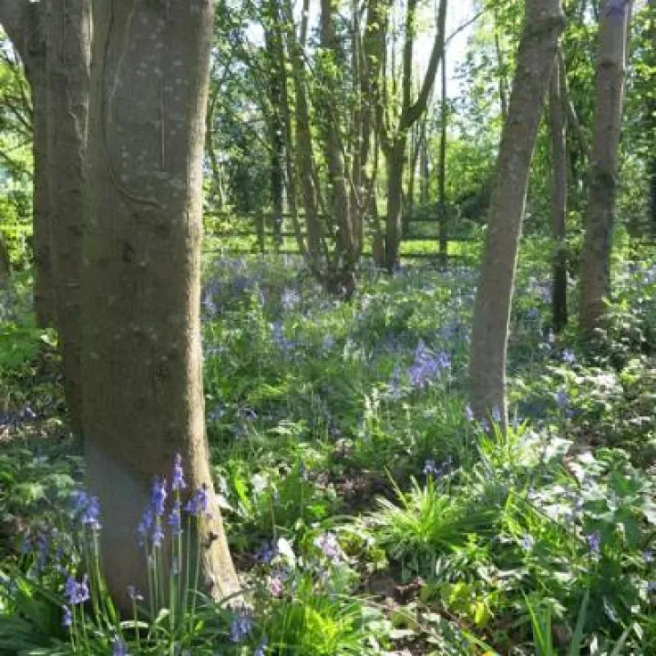 Img_5652