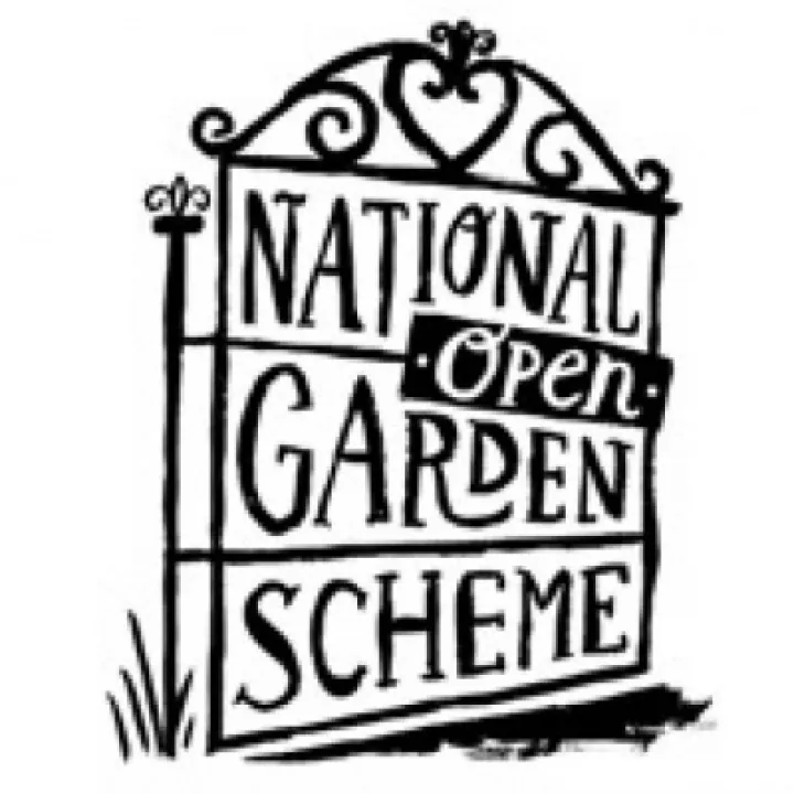 ngs-logo-border