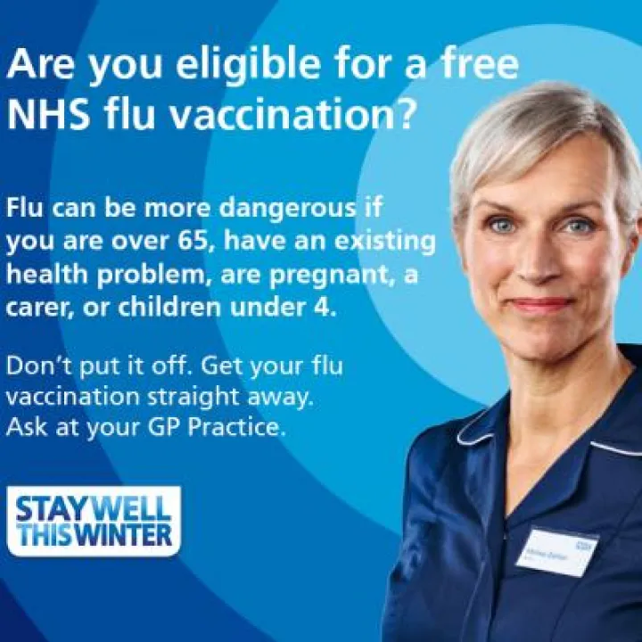 Flu 2