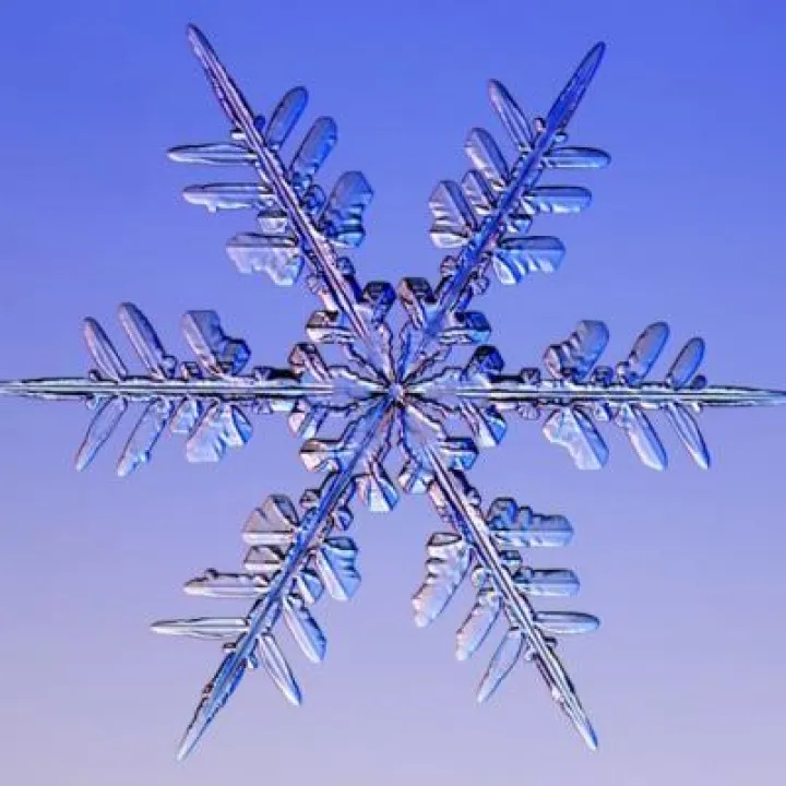 snowflake-6