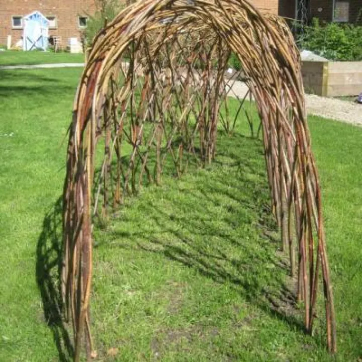 Acomb garden