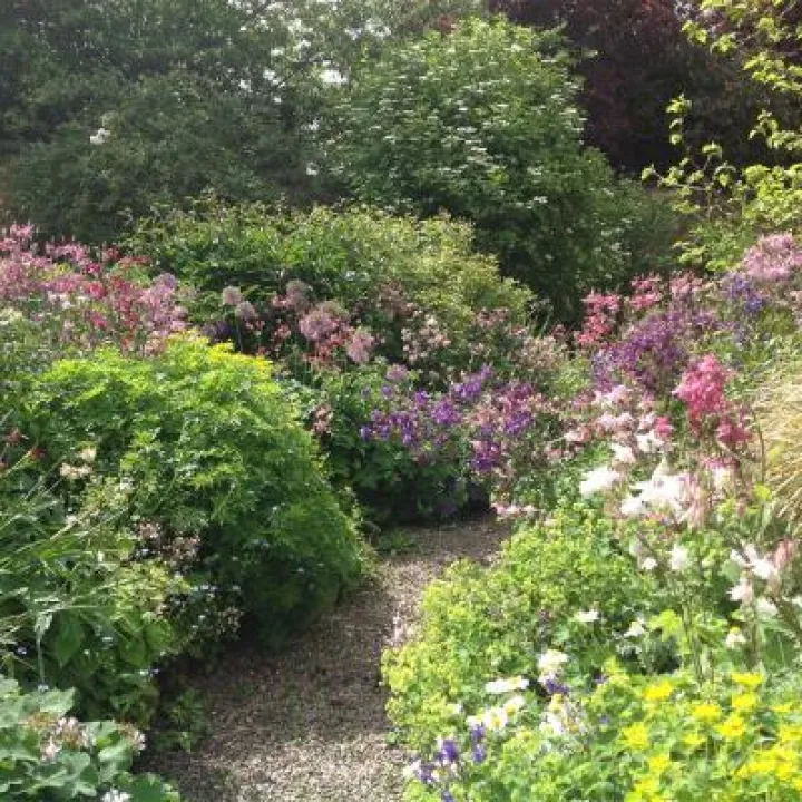 Bee haven