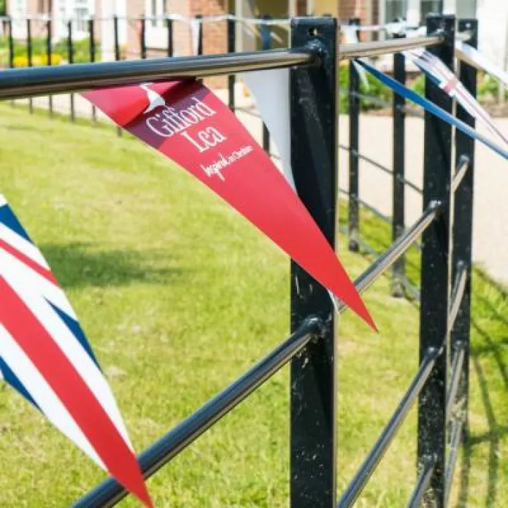 Bunting_preview
