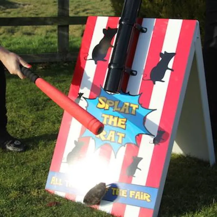 Splat-The-Rat-4
